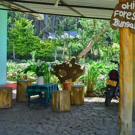 Ohiya Forest Lodge Bagian luar foto