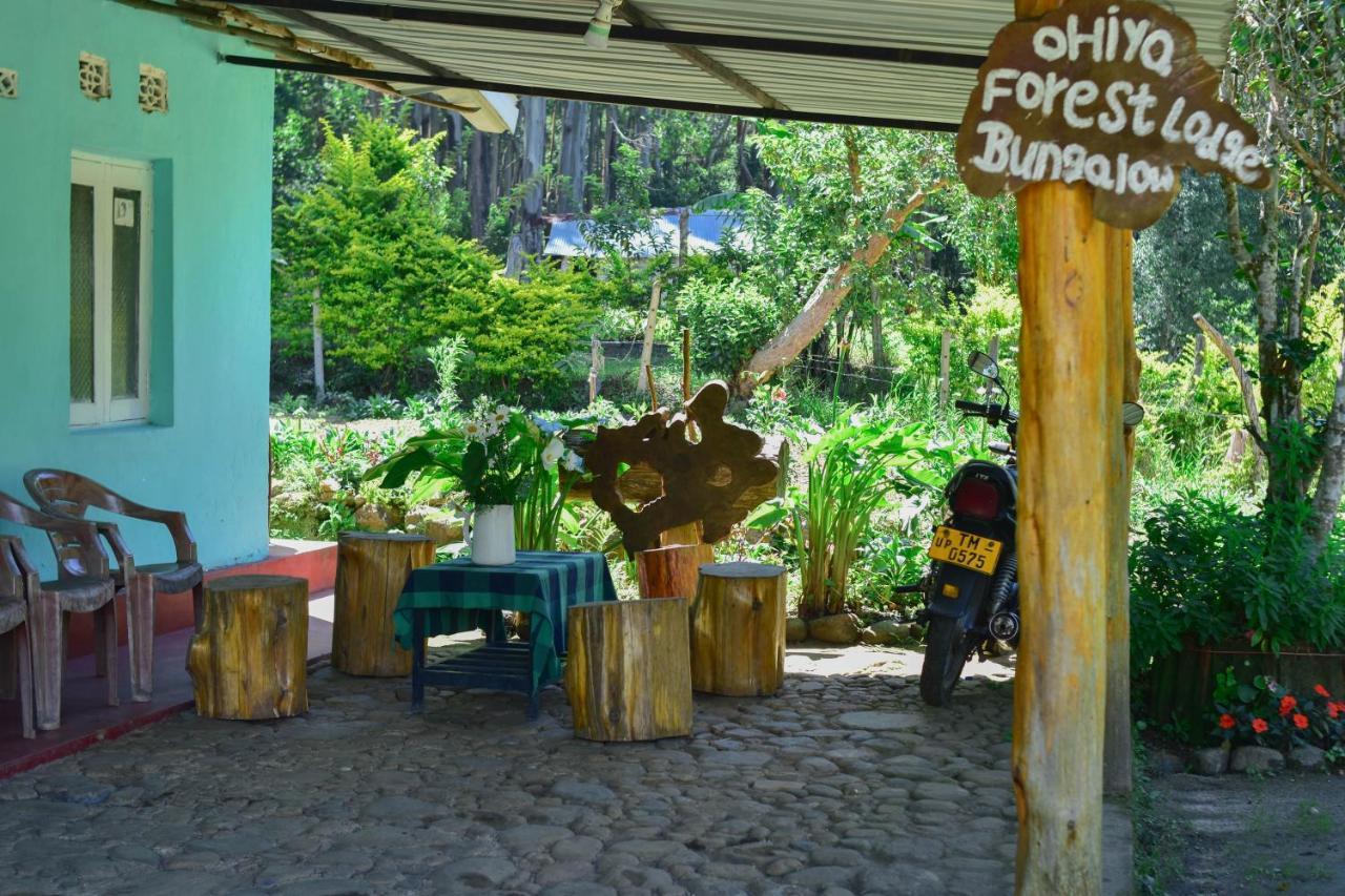 Ohiya Forest Lodge Bagian luar foto