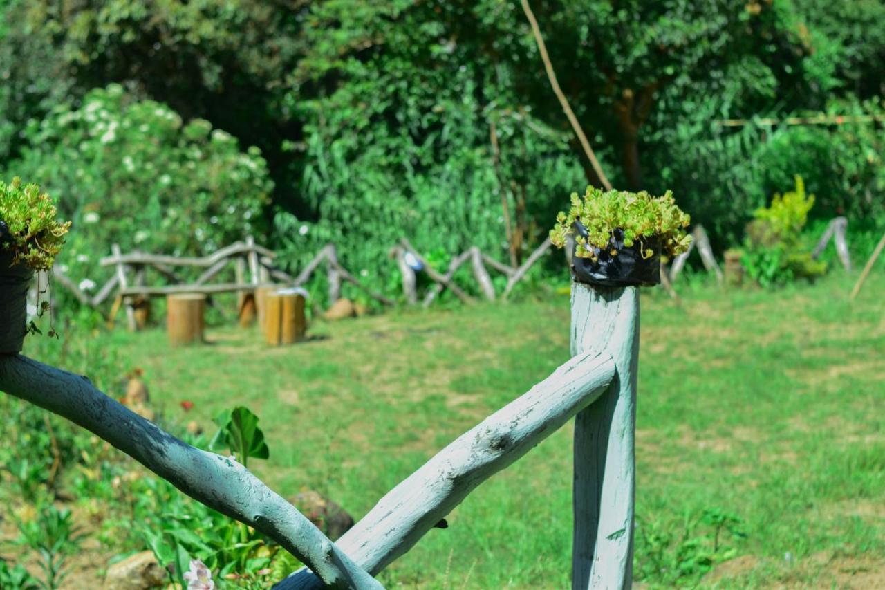 Ohiya Forest Lodge Bagian luar foto