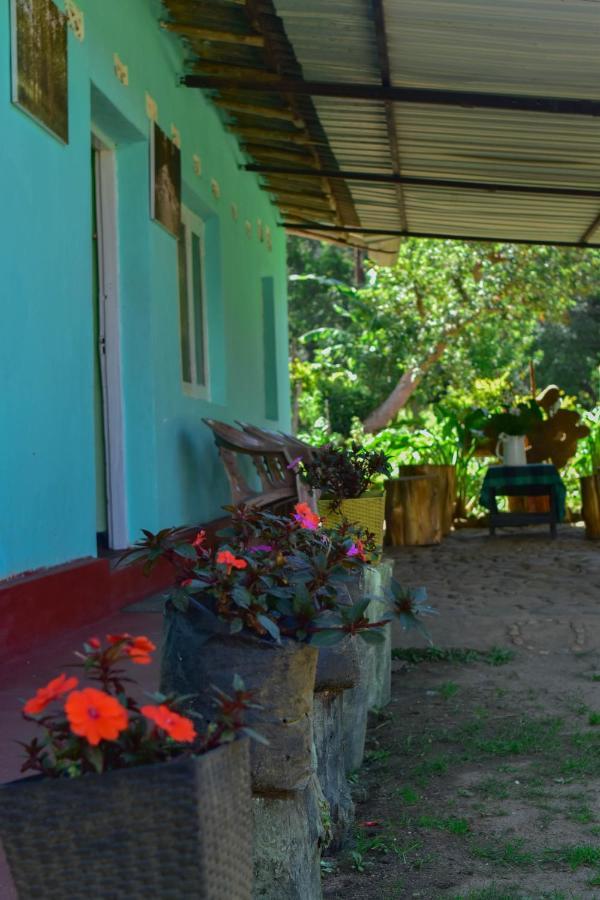 Ohiya Forest Lodge Bagian luar foto