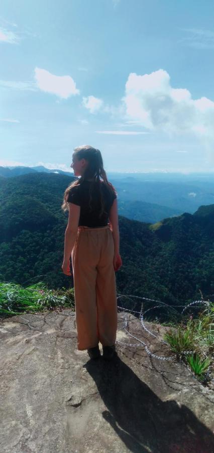 Ohiya Forest Lodge Bagian luar foto