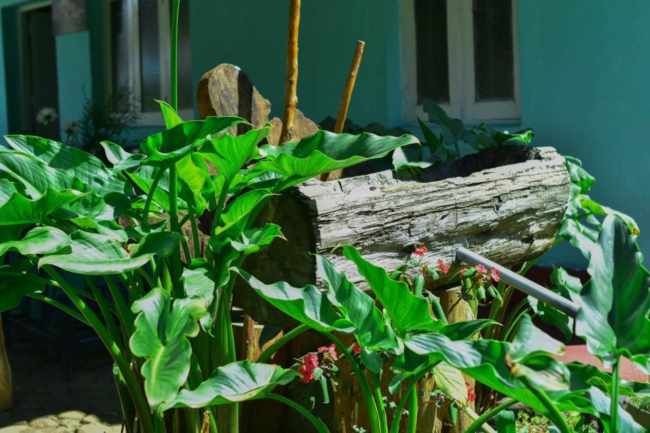 Ohiya Forest Lodge Bagian luar foto