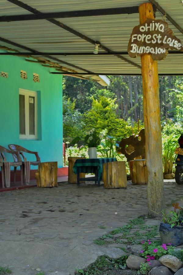 Ohiya Forest Lodge Bagian luar foto