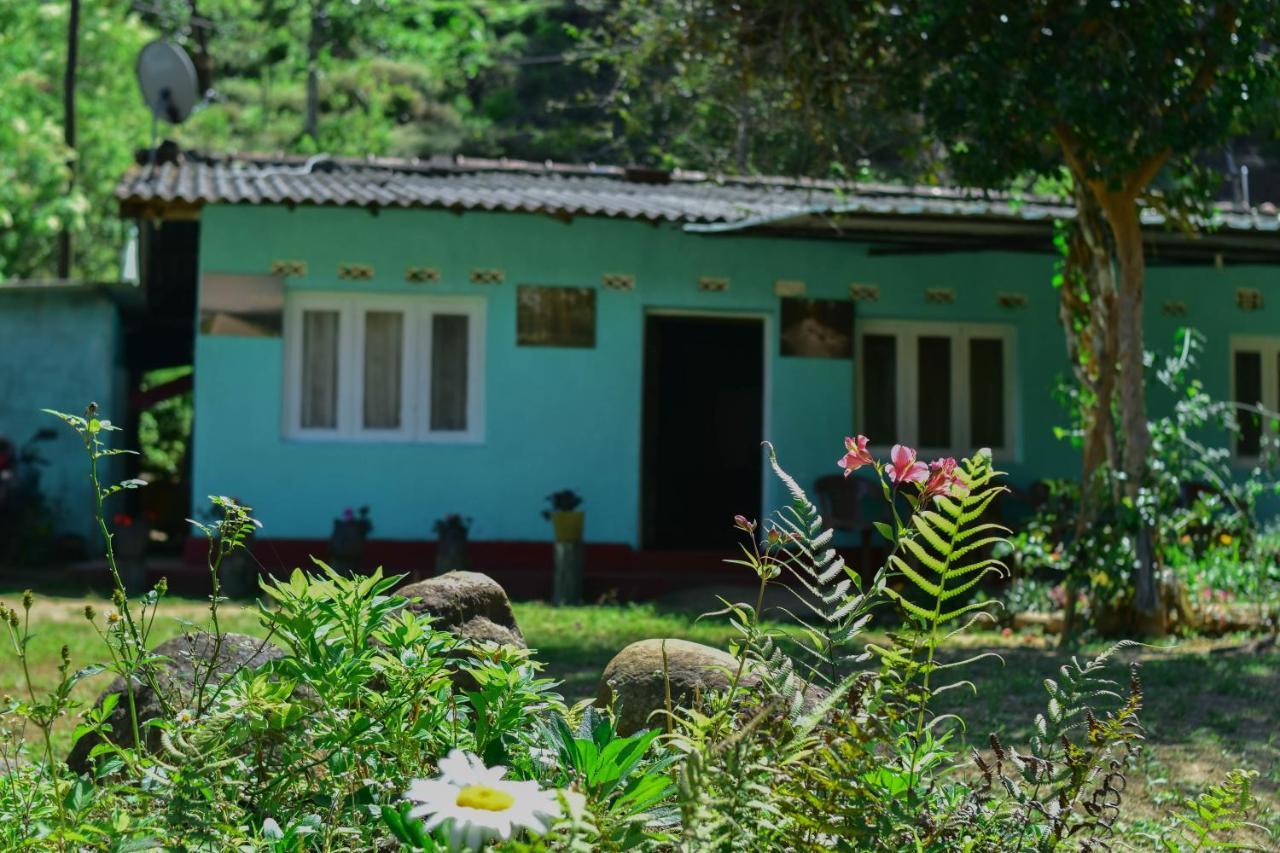 Ohiya Forest Lodge Bagian luar foto