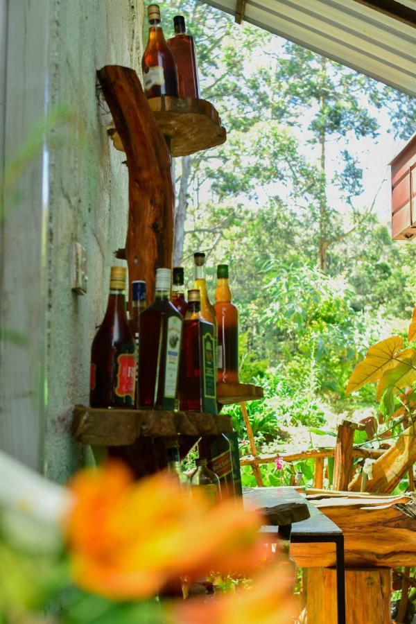 Ohiya Forest Lodge Bagian luar foto