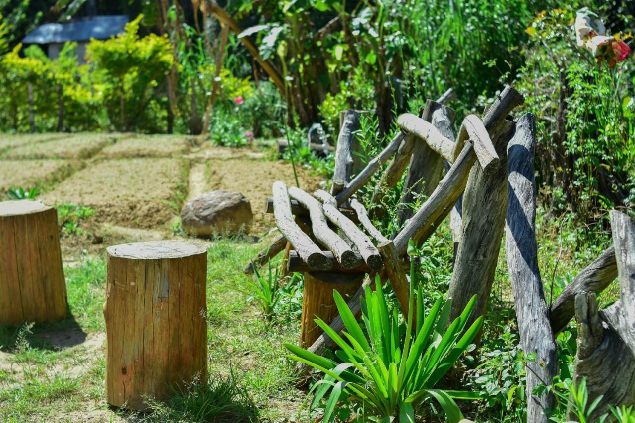 Ohiya Forest Lodge Bagian luar foto