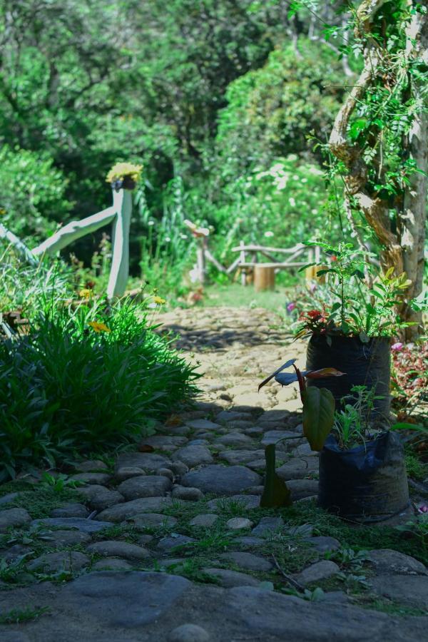 Ohiya Forest Lodge Bagian luar foto