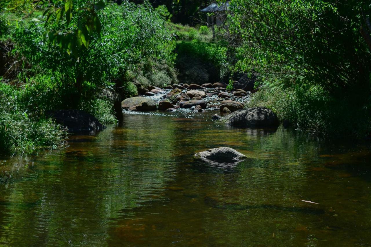 Ohiya Forest Lodge Bagian luar foto