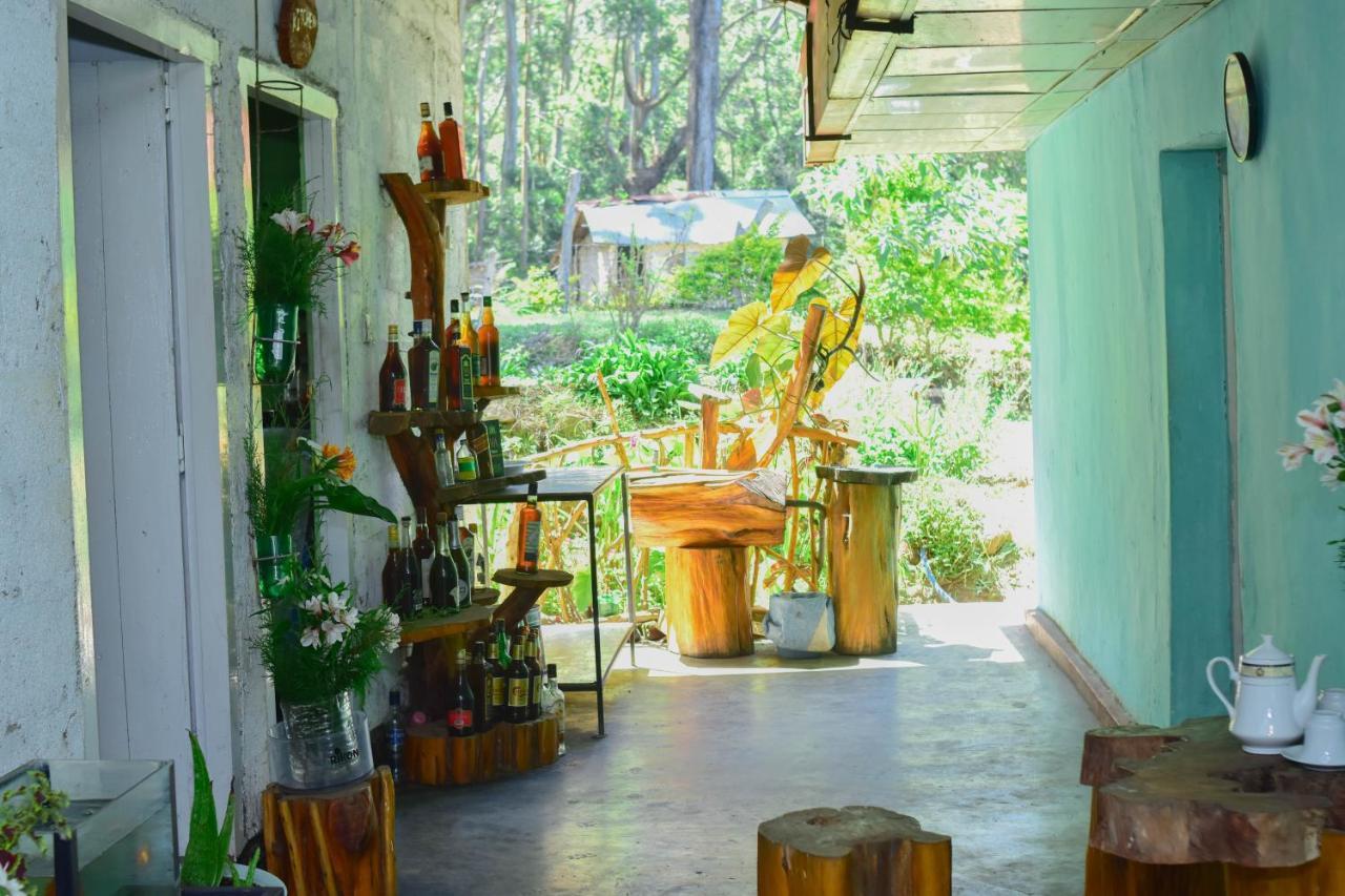 Ohiya Forest Lodge Bagian luar foto